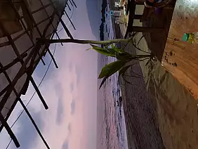 taj-mahal-india-dhcpq