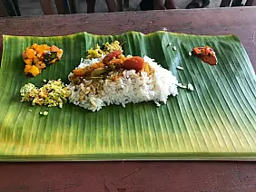 taj-mahal-india-gutfq