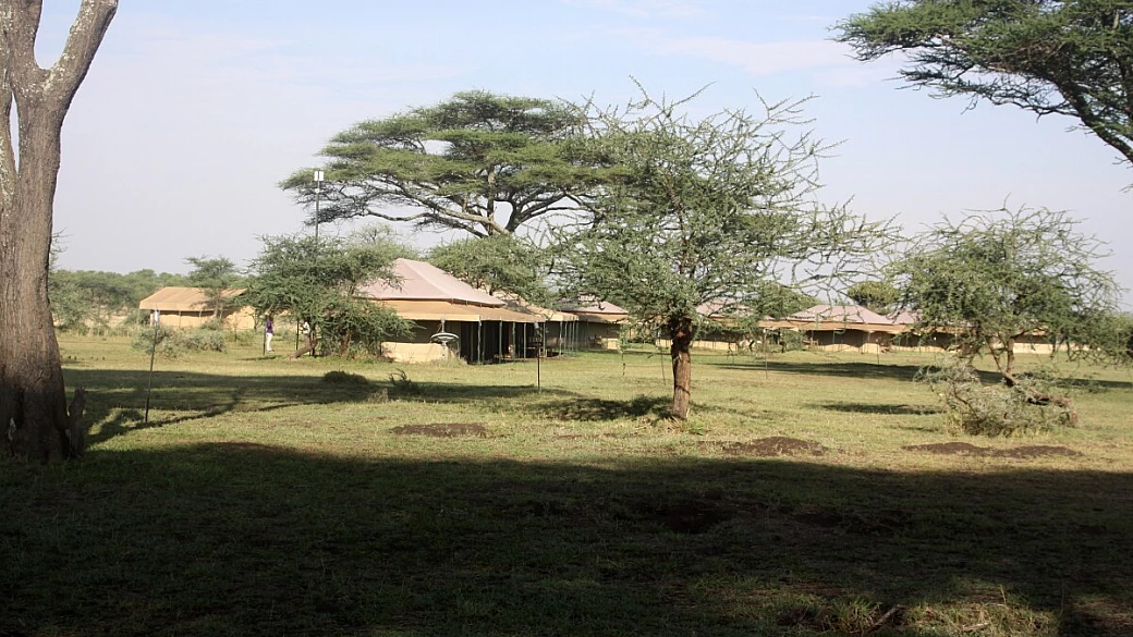 tanzania, natura, emozioni