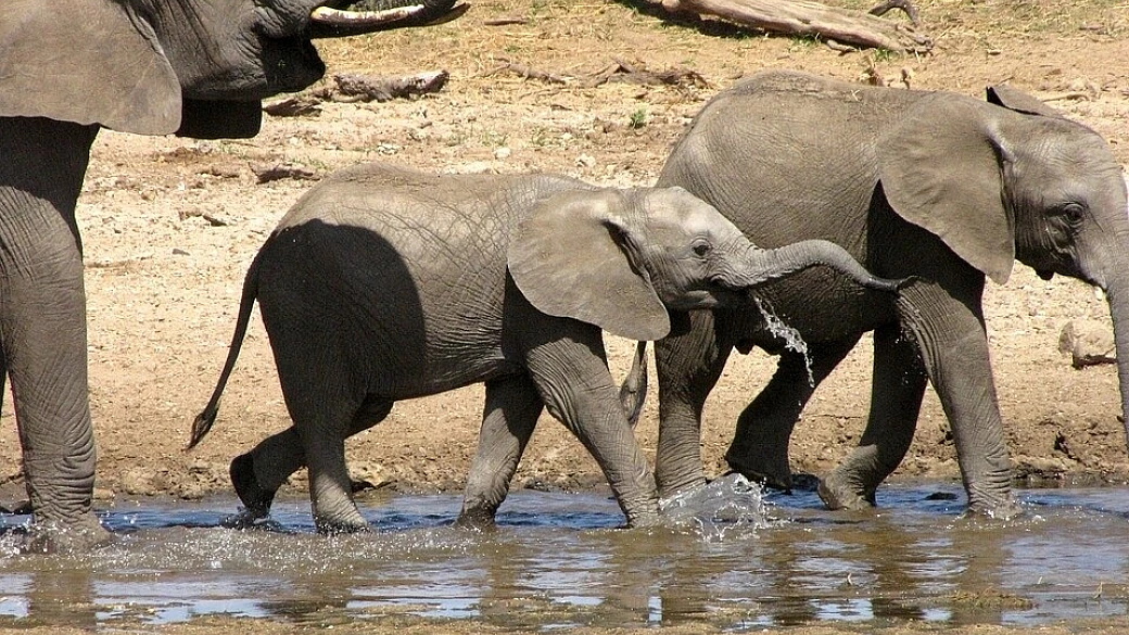 tanzania... orizzonti infiniti