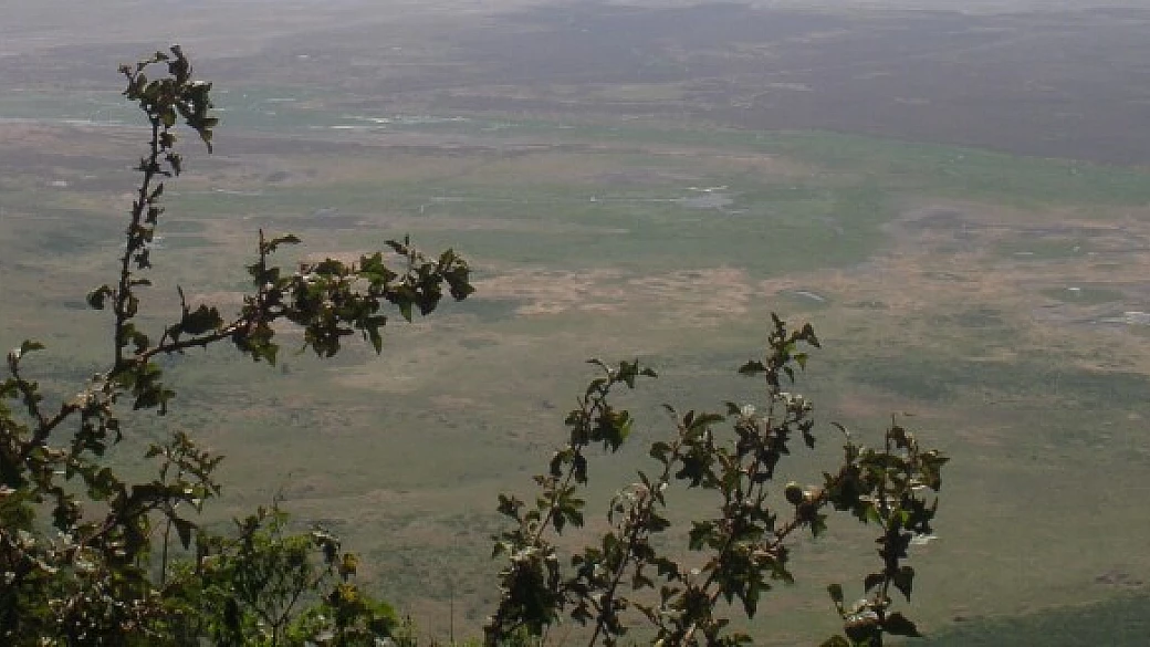 safari in tanzania e ritorno a zanzibar