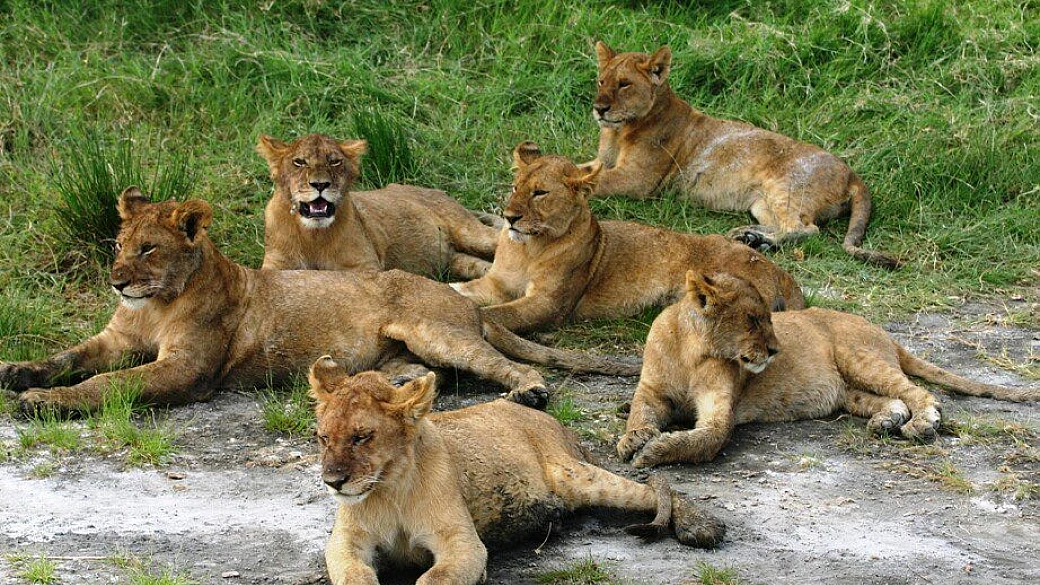 tanzania, parchi e popoli