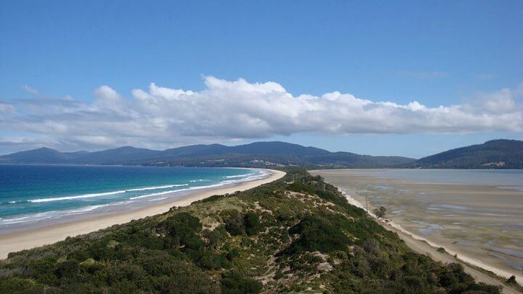 wild tasmania