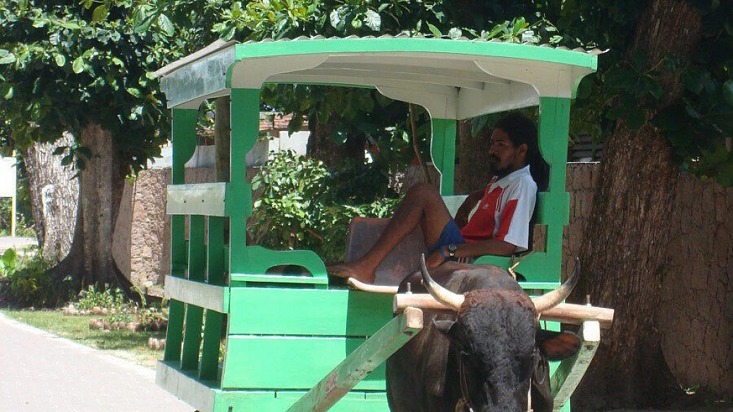 ritorno alle seychelles