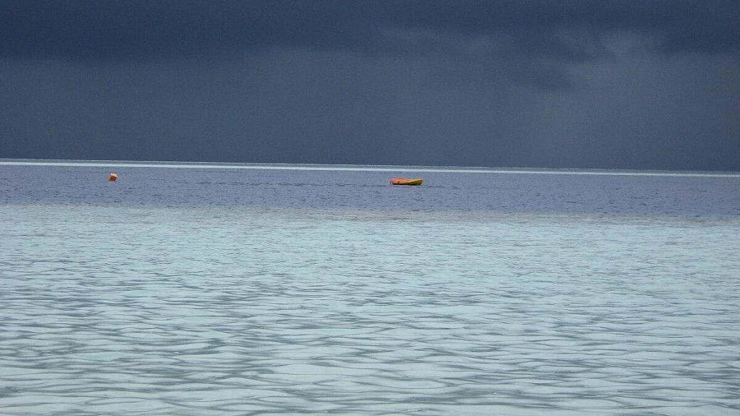 maldive ... under the sea