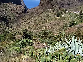 tenerife-6qa7y