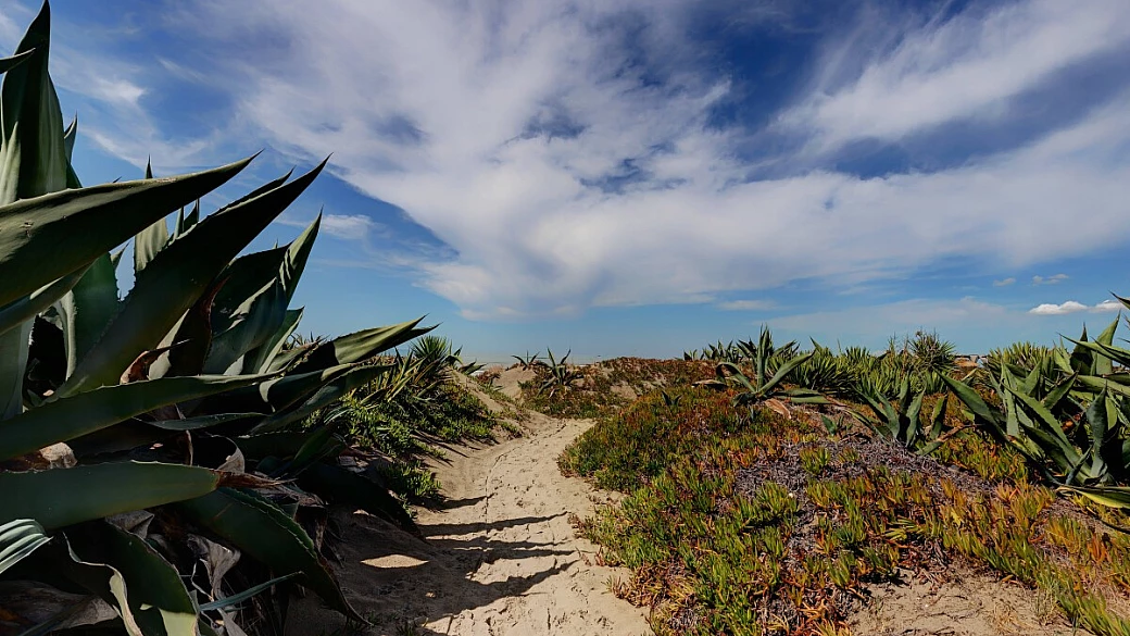 territorio di pomezia, tra oasi naturali e parchi acquatici