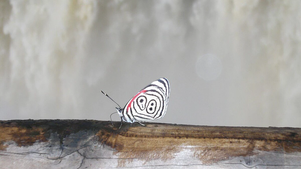 patagonia argentina ed iguassù