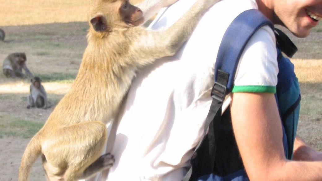 thai: bgkk, kho lipe, phi phi islands e chiang mai