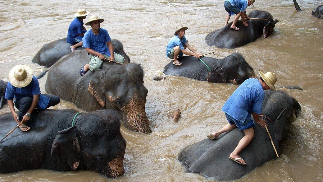 thailandia e koh samui: viaggio di nozze