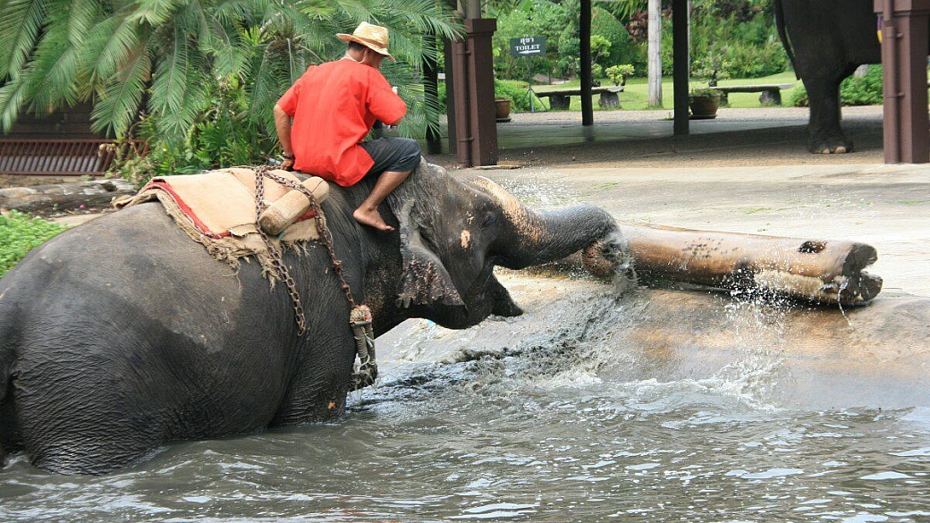 dentro bangkok, frenetica metropoli asiatica