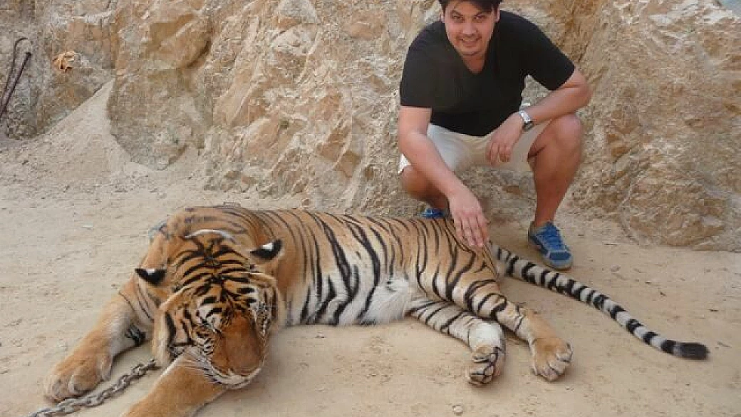 thailandia: wat pha luang ta bua, ovvero il tempio delle tigri aka tiger temple