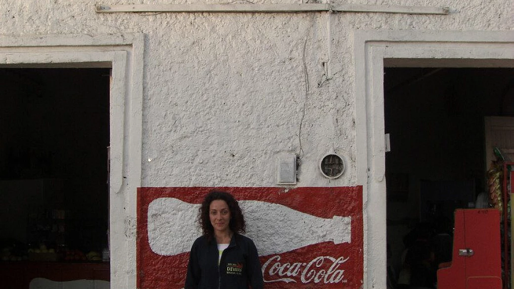 baja california sur: cactus, deserto, natura, mare