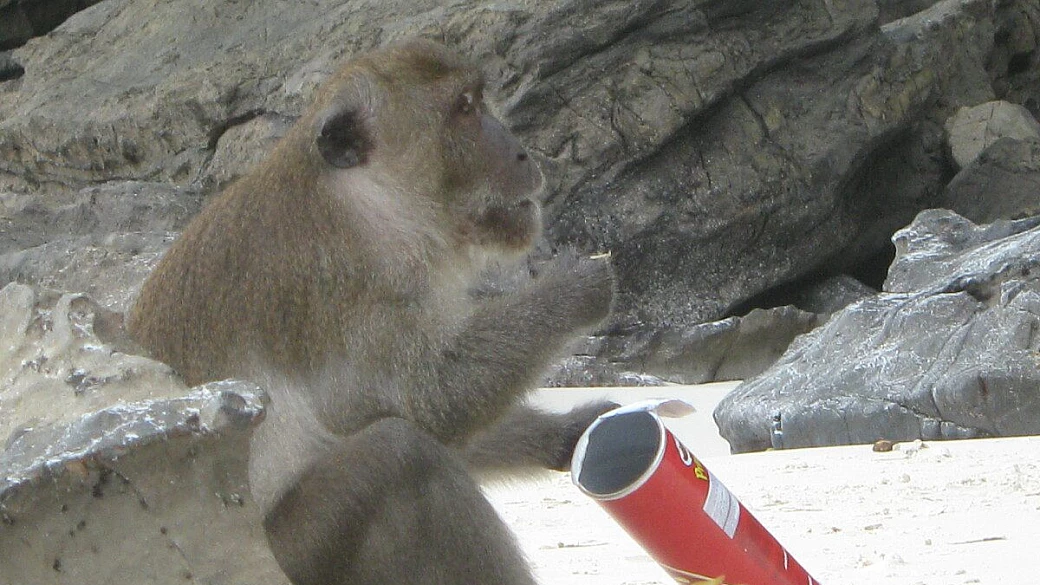 thailandia - di tutto di o quasi un po’ 2