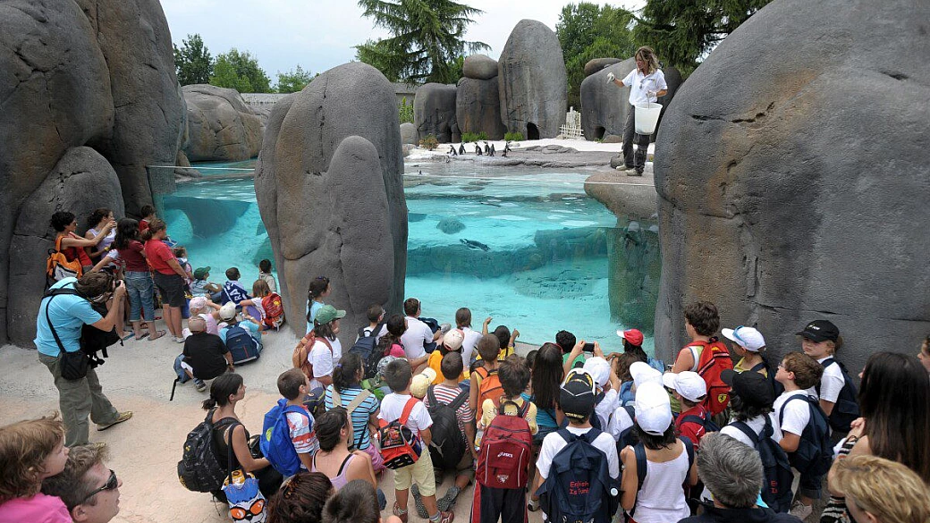 un sabato al bioparco zoom