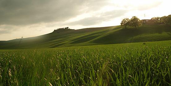 val d'orcia 10