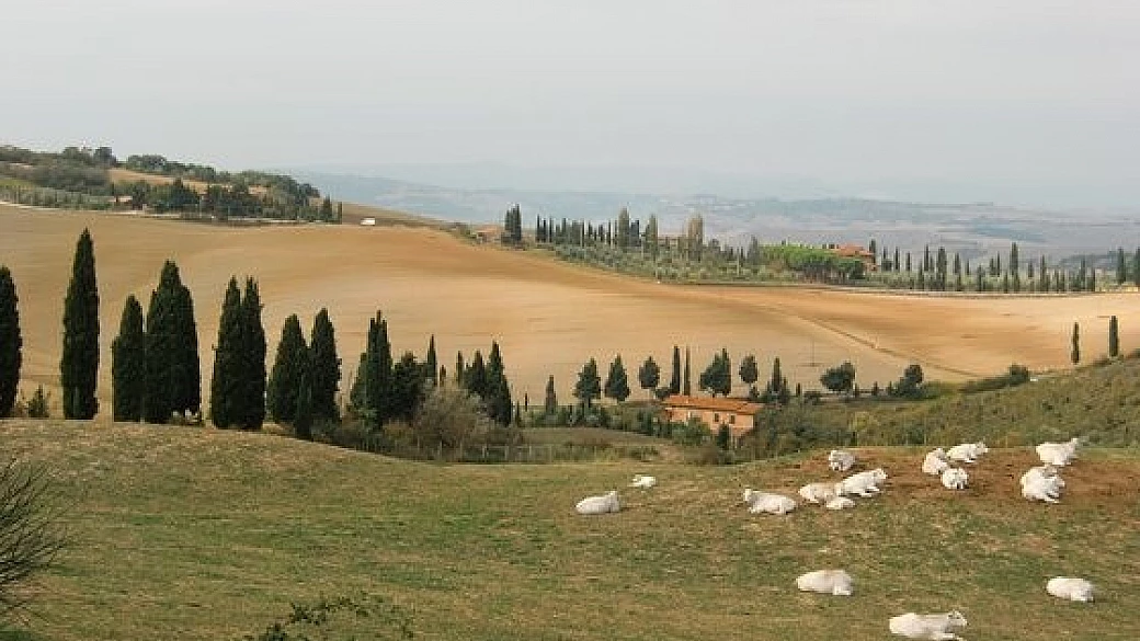 tra il brunello e il nobile