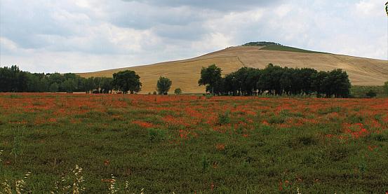 val d'orcia 5