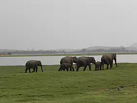 tour-dello-sri-lanka-kn2m5