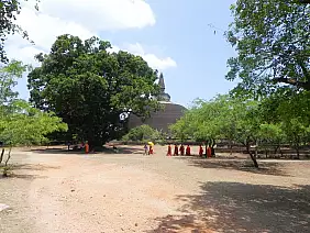 tour-dello-sri-lanka-r5dbv