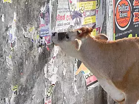 tour-dello-sri-lanka-rjfh9