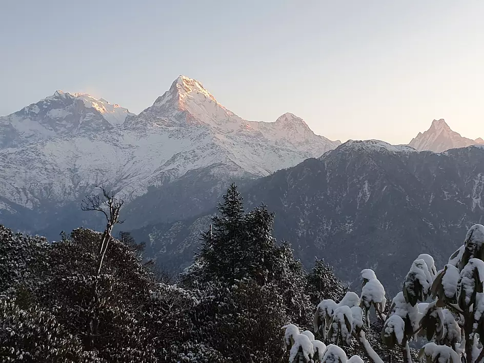poon hill trekking nepal