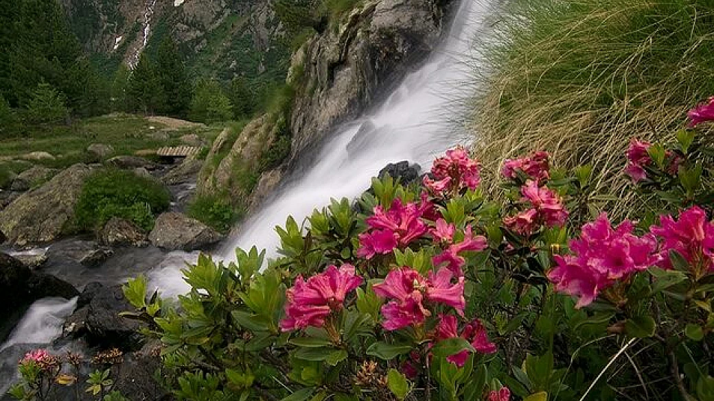 parco nazionale dello stelvio: il cuore verde della val di sole