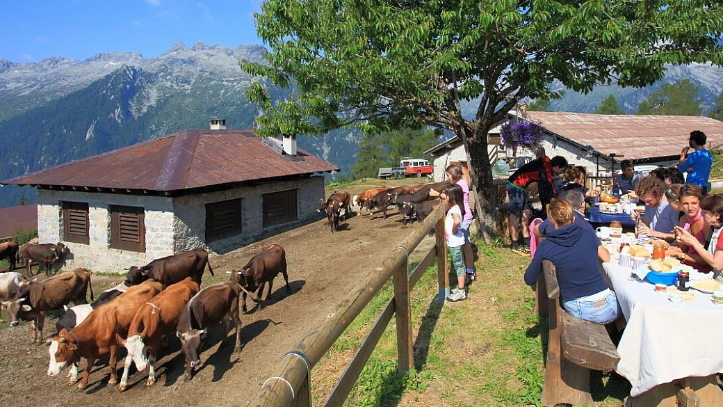 escursioni in trentino