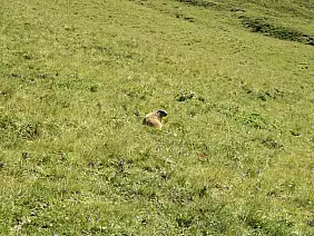 trentino-alto-adige-89afr