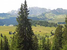 trentino-alto-adige-dptst