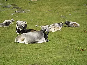 trentino-alto-adige-ffuz5