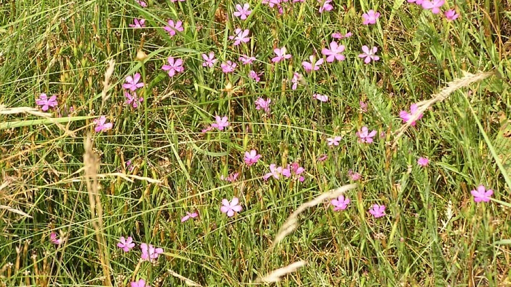 cinque giorni tra rifugi, nuvole e paesini in altabadia