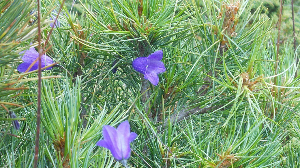 la val gardena: indimenticabile!