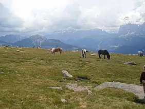 trentino-alto-adige-w786z