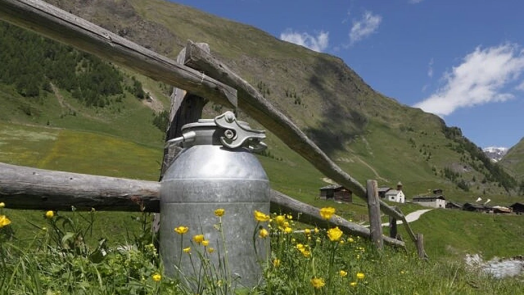 in alto adige per festeggiare il latte