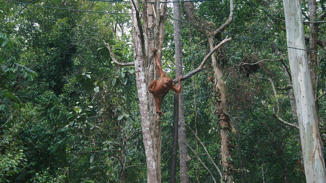 kuala lumpur, un sogno realizzato