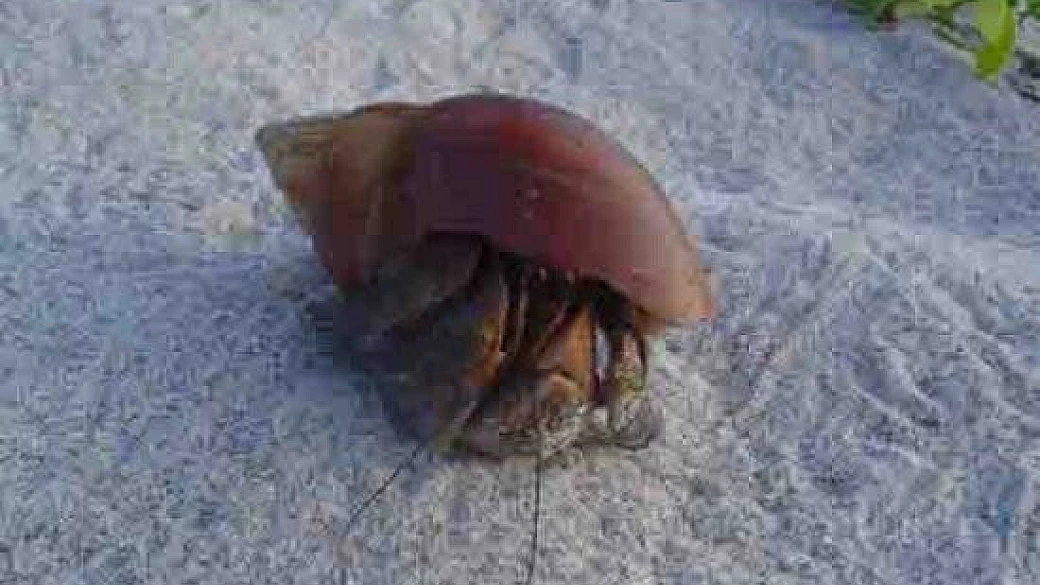 in kenya: con i più poveri - 2