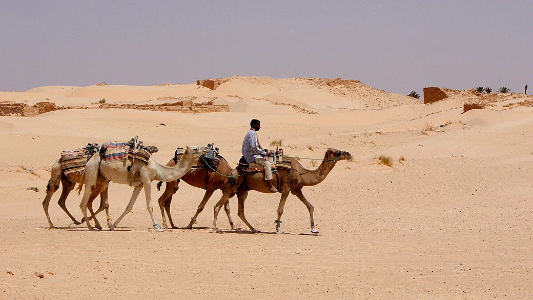 tour tunisia fai-da-te!