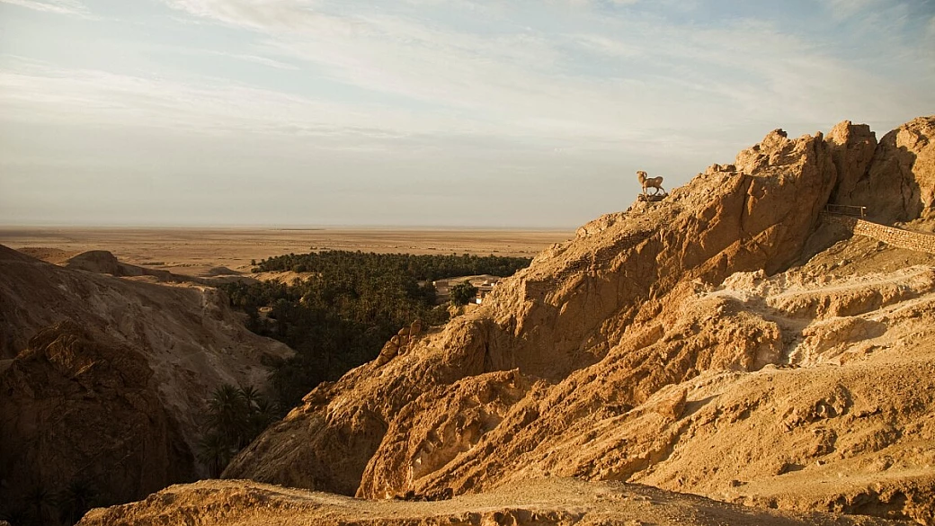 fantastico tour delle oasi