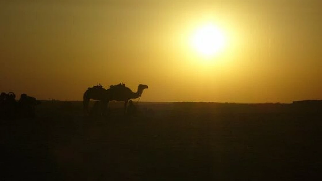 quando il vento solleva le sabbie