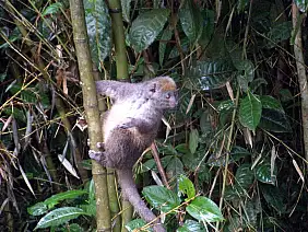 turismo-solidale-rcv86