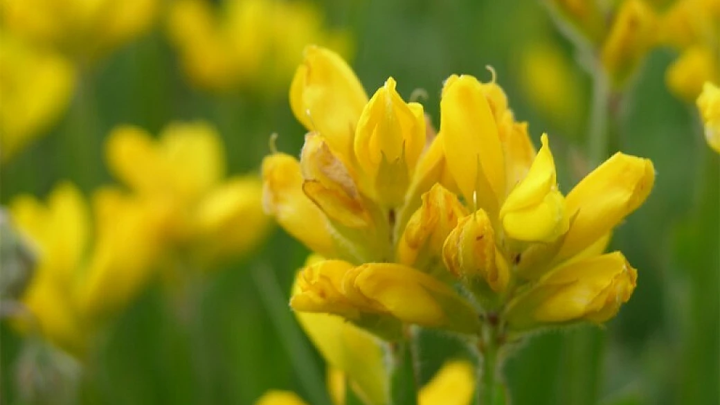 green tourism e blue economy!