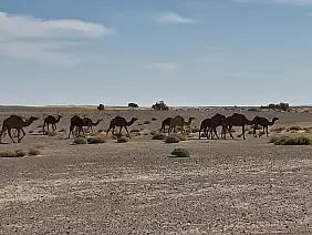 turismoaccessibile-tu337