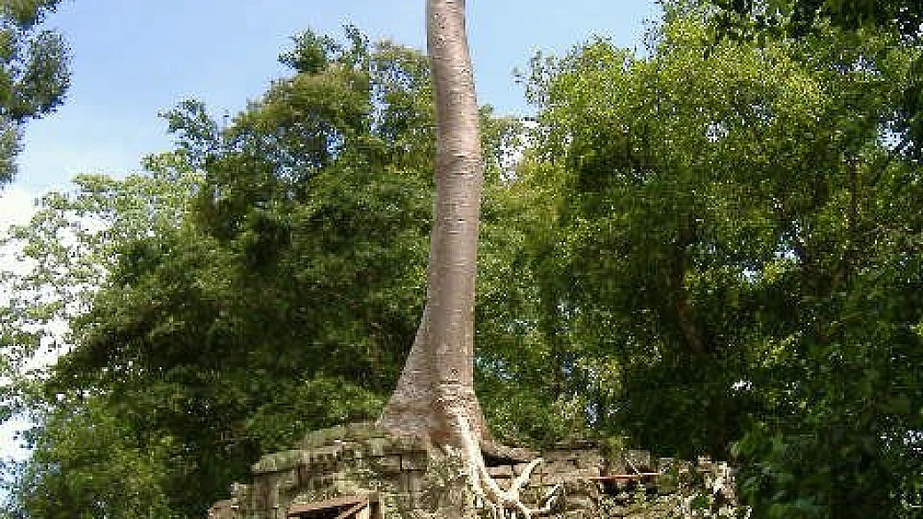 viaggio sud-est asiatico