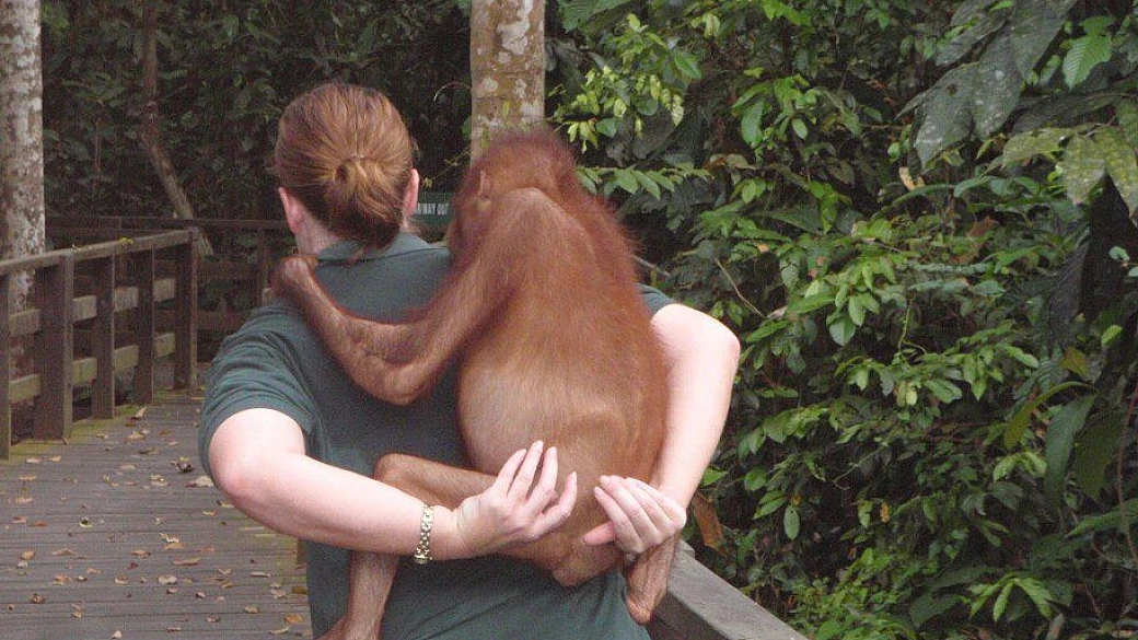 malesia sopra e sotto il mare