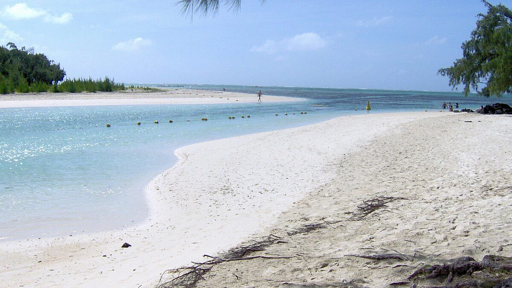 in scooter tra le jacarande di mauritius