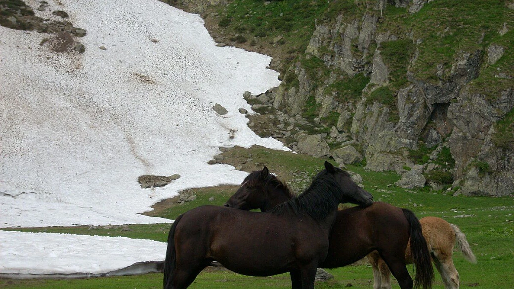 l'incantevole marettimo