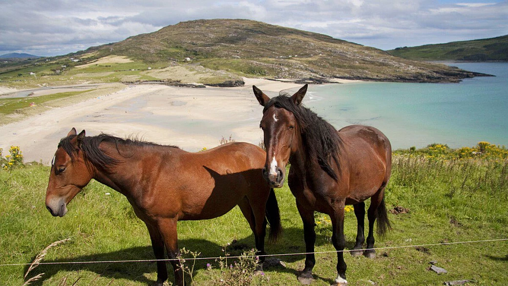 eire & ulster in 50 sfumature di verde!