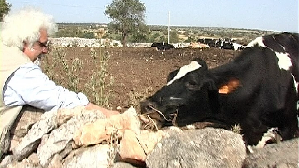 ultimissime per i turisti per caso: un'associazione, un festival, un'avventura!