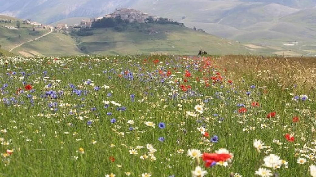 weekend in umbria: norcia, gubbio, perugia